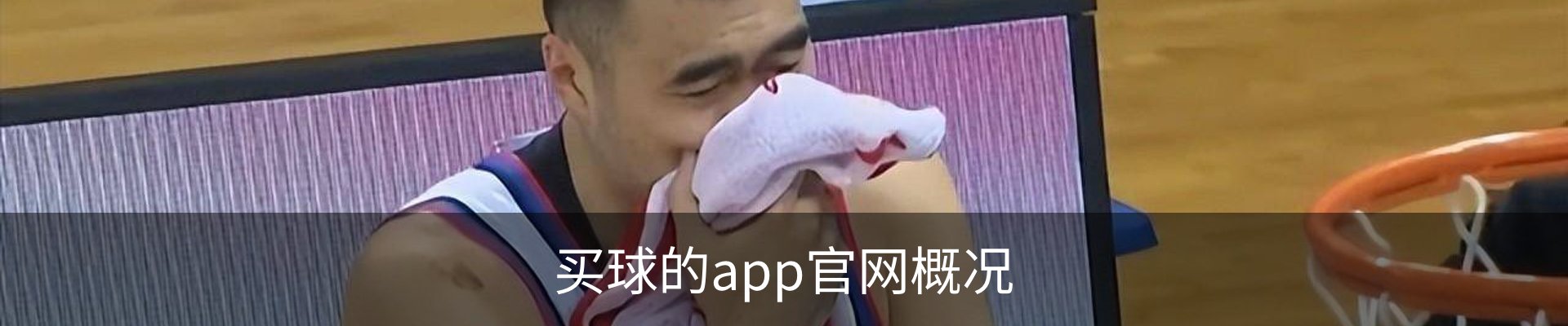 买球的app官网概况