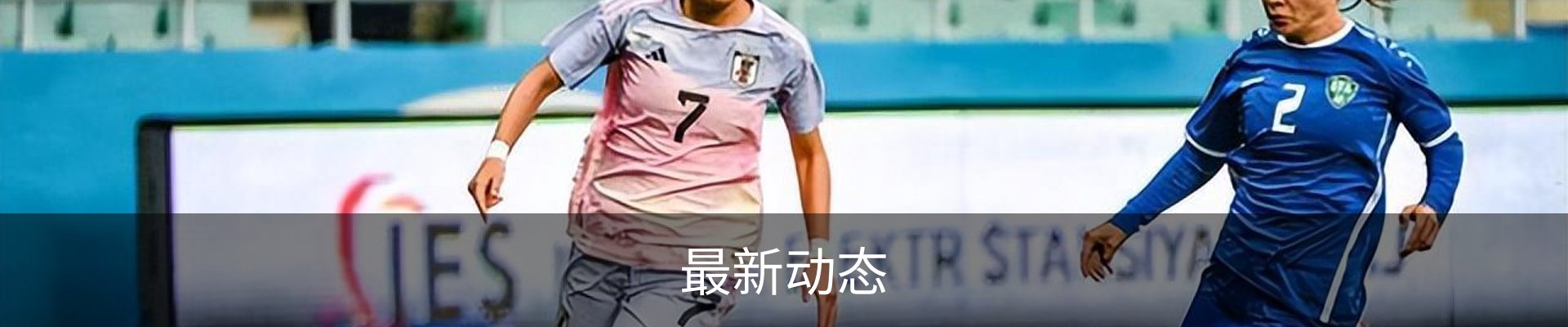 最新动态