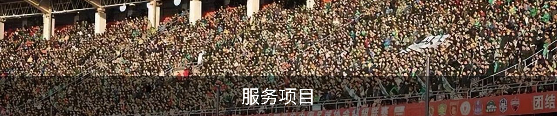 服务项目